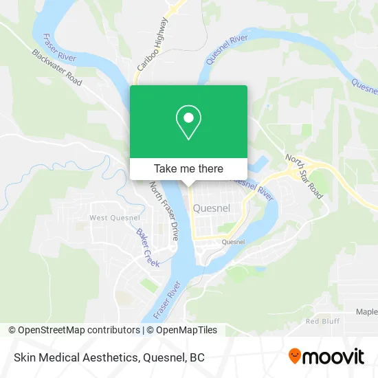 Skin Medical Aesthetics plan