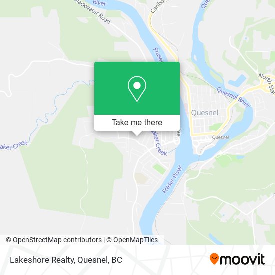 Lakeshore Realty plan
