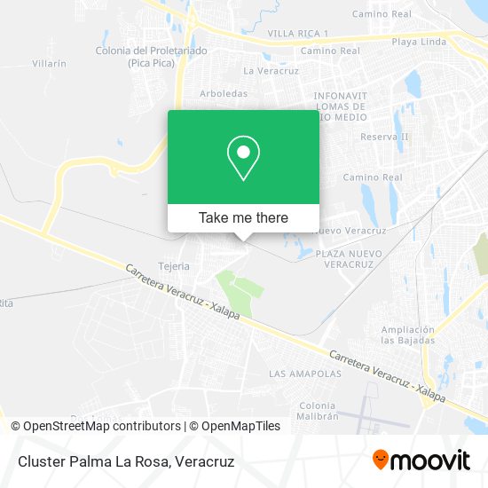 Cluster Palma La Rosa map