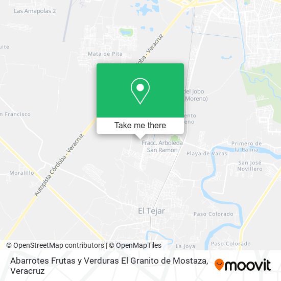 Mapa de Abarrotes Frutas y Verduras El Granito de Mostaza