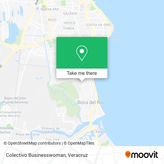 Mapa de Colectivo Businesswoman