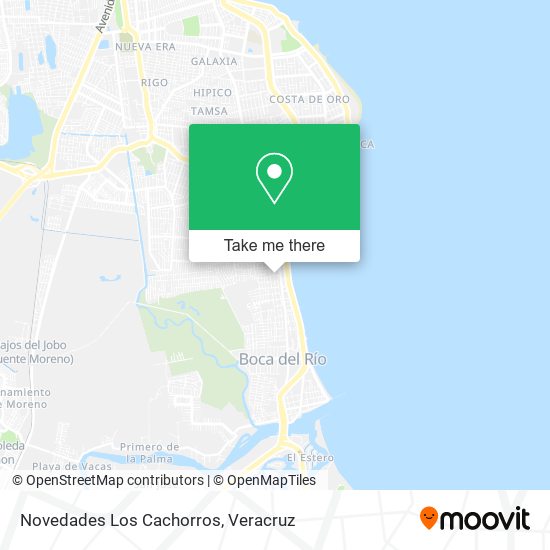 Novedades Los Cachorros map
