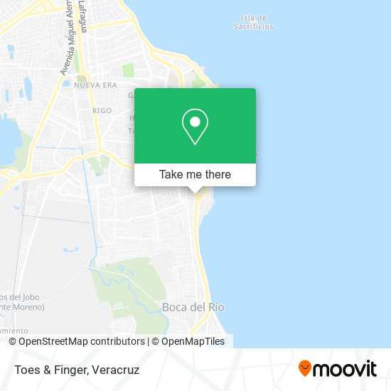 Mapa de Toes & Finger