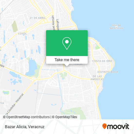 Mapa de Bazar Alicia