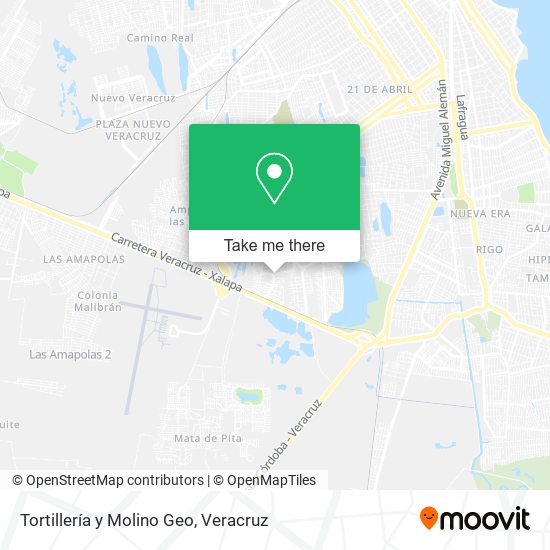 Tortillería y Molino Geo map