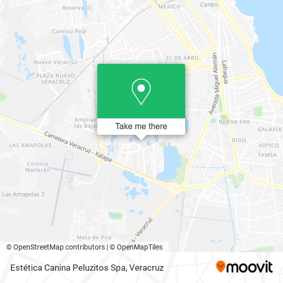 Mapa de Estética Canina Peluzitos Spa