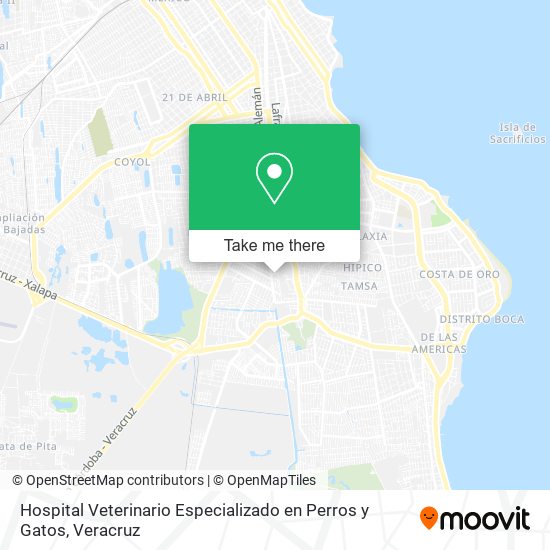 Hospital Veterinario Especializado en Perros y Gatos map