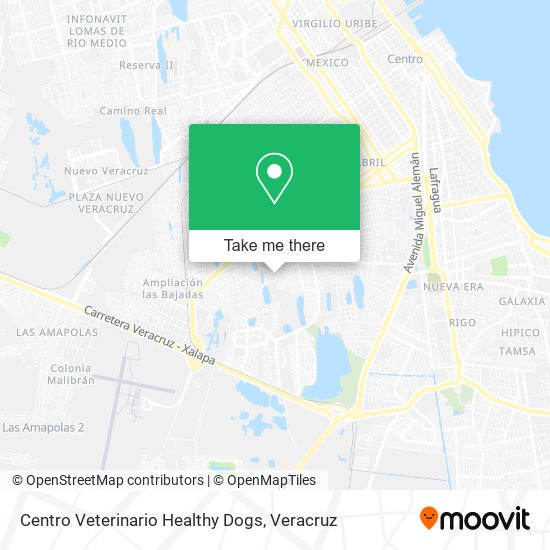 Centro Veterinario Healthy Dogs map