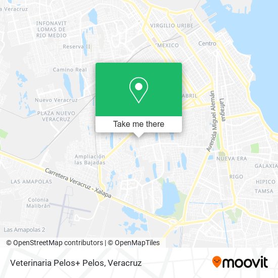 Veterinaria Pelos+ Pelos map