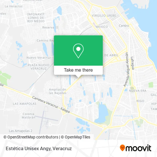 Estética Unisex Angy map