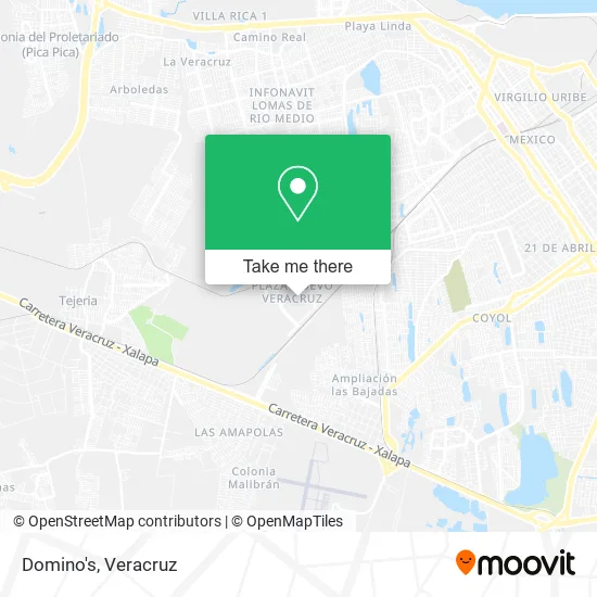 Domino's map