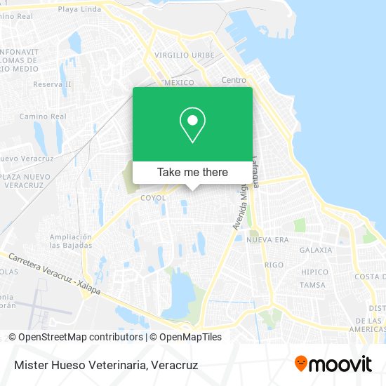 Mister Hueso Veterinaria map