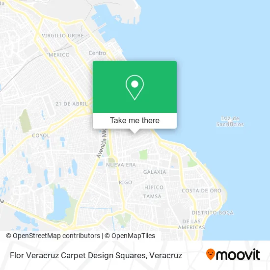 Flor Veracruz Carpet Design Squares map