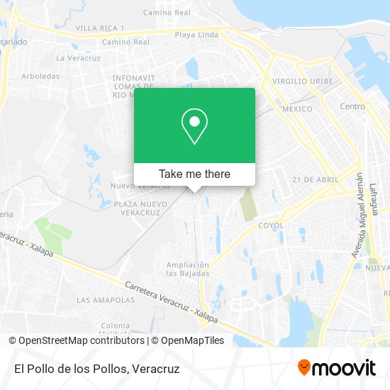 Mapa de El Pollo de los Pollos