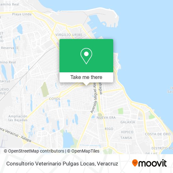 Consultorio Veterinario Pulgas Locas map