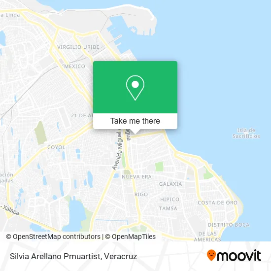 Silvia Arellano Pmuartist map