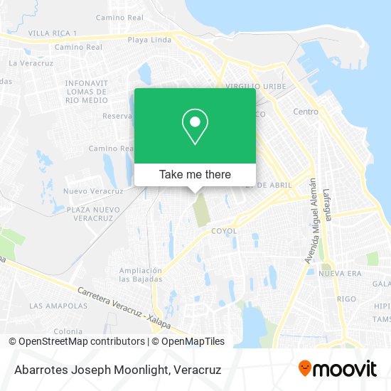 Mapa de Abarrotes Joseph Moonlight