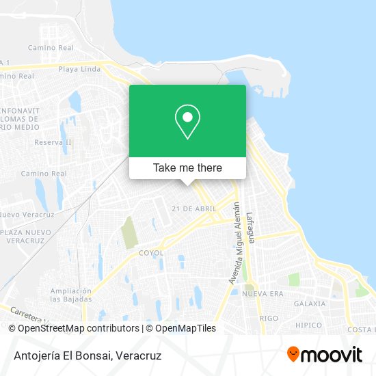 Antojería El Bonsai map
