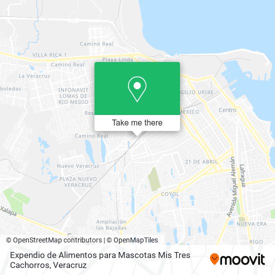 Expendio de Alimentos para Mascotas Mis Tres Cachorros map