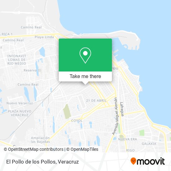 El Pollo de los Pollos map