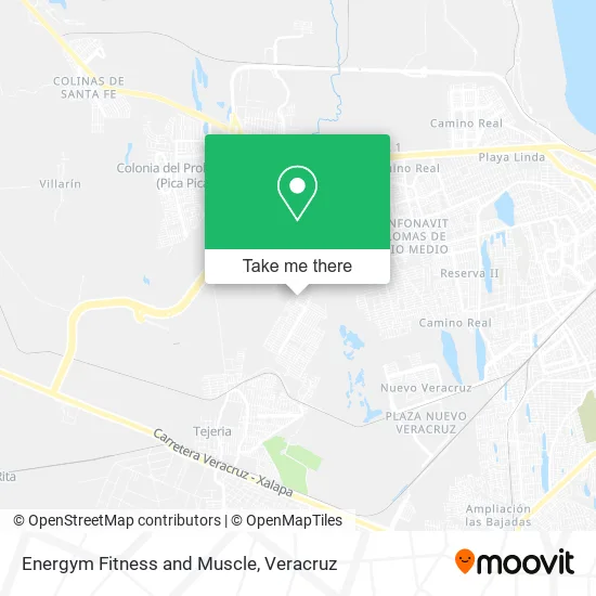 Energym Fitness and Muscle map