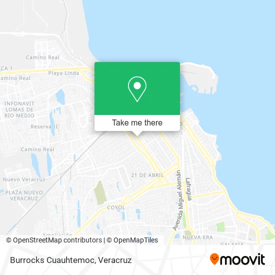 Burrocks Cuauhtemoc map