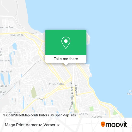 Mega Print Veracruz map