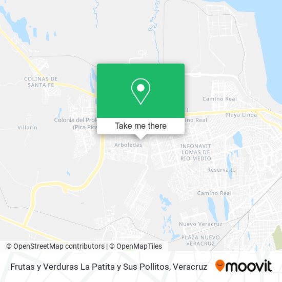 Mapa de Frutas y Verduras La Patita y Sus Pollitos