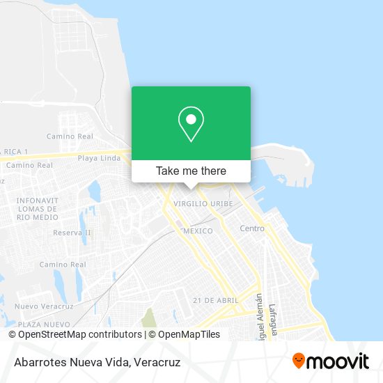 Mapa de Abarrotes Nueva Vida