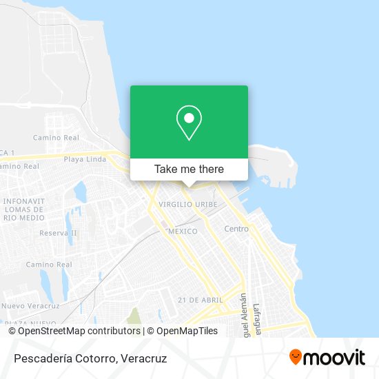 Mapa de Pescadería Cotorro