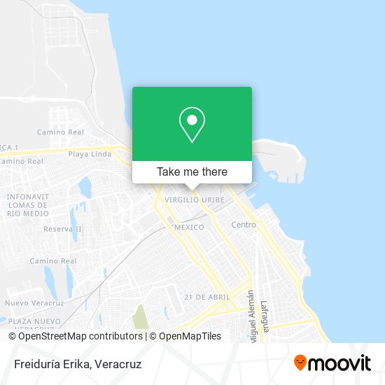Freiduría Erika map