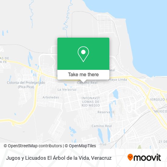 Jugos y Licuados El Árbol de la Vida map