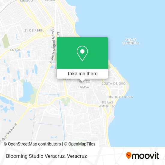 Blooming Studio Veracruz map