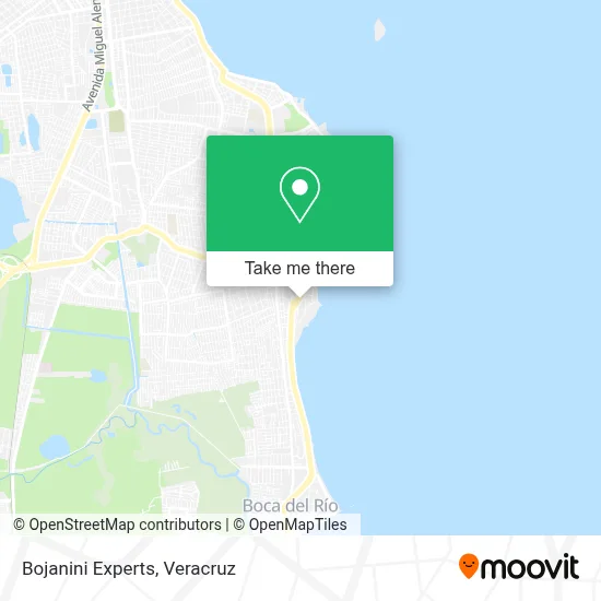 Bojanini Experts map