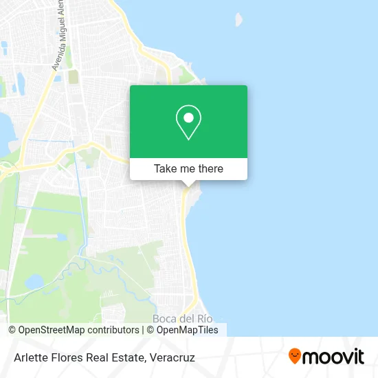 Arlette Flores Real Estate map