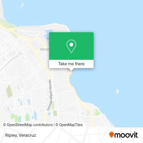 Ripley map