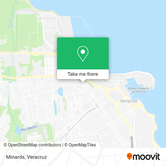 Minards map