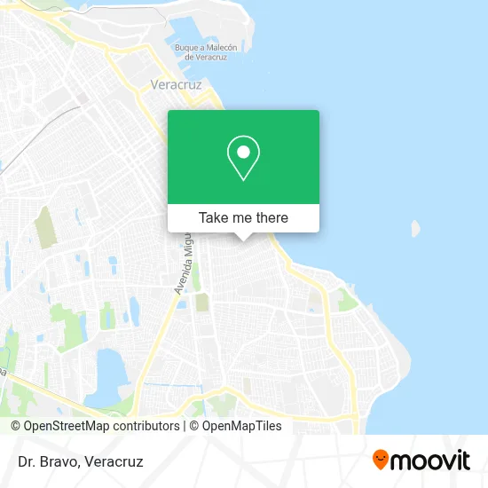 Dr. Bravo map