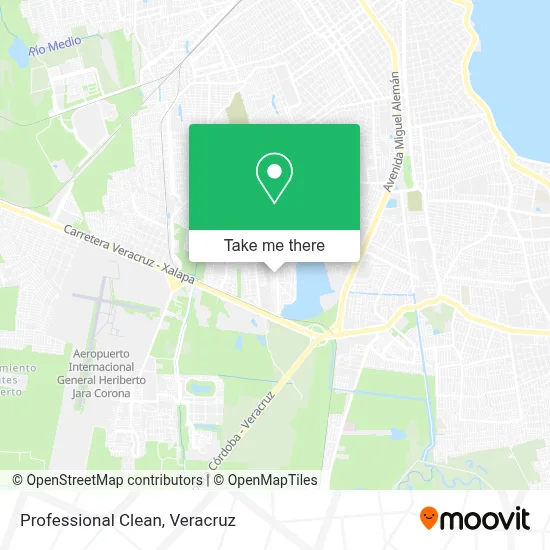Professional Clean map