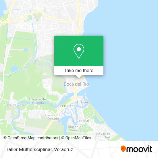 Taller Multidisciplinar map