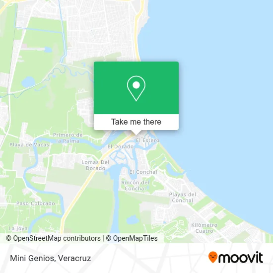 Mini Genios map