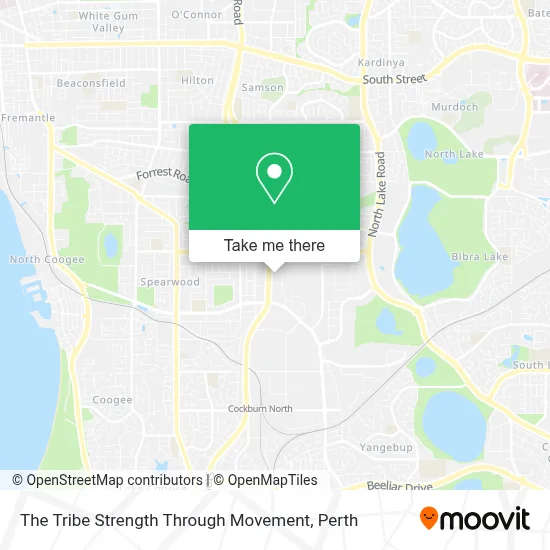 Mapa The Tribe Strength Through Movement