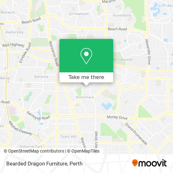 Bearded Dragon Furniture map