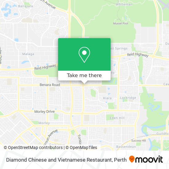 Diamond Chinese and Vietnamese Restaurant map