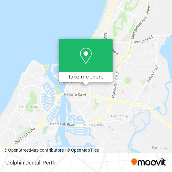 Dolphin Dental map