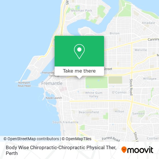 Body Wise Chiropractic-Chiropractic Physical Ther map