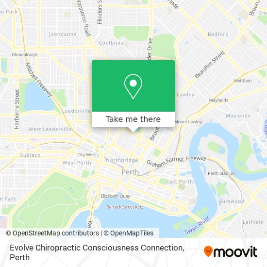 Evolve Chiropractic Consciousness Connection map