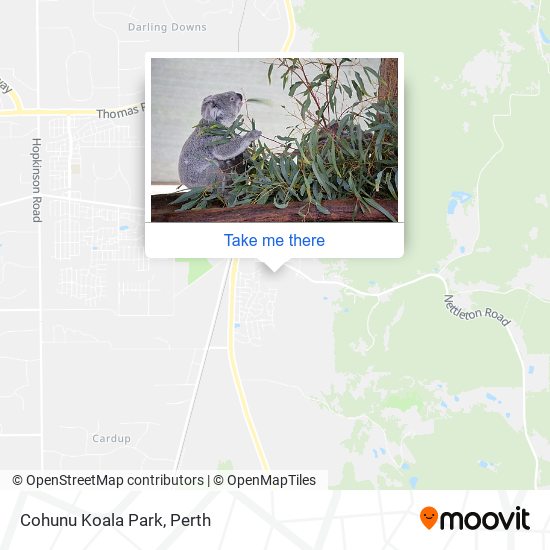 Cohunu Koala Park map