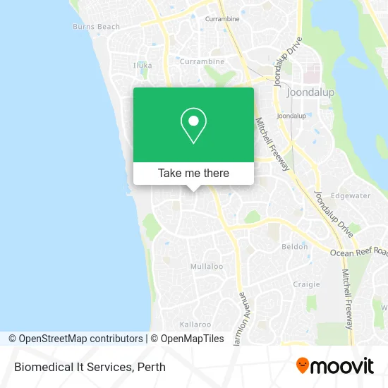 Mapa Biomedical It Services