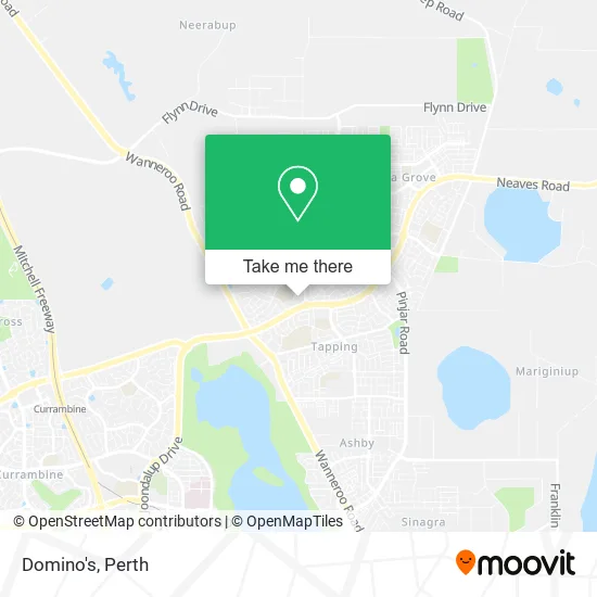 Domino's map